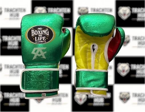 Custom Handmade Green Yellow Boxing Gloves - NBNL - 100% Cow Leather • Custom Name Print | Handmade Boxing Gear by TRACHTEN HUB