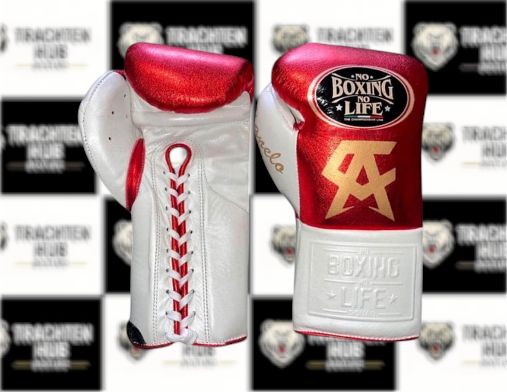 Custom Handmade Red Boxing Gloves - NBNL - 100% Cow Leather • Custom Name Print | Handmade Boxing Gear by TRACHTEN HUB