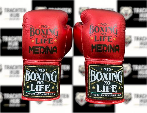 Custom Handmade RED New Boxing Gloves - NBNL - 100% Cow Leather • Custom Name Print | Handmade Boxing Gear by TRACHTEN HUB
