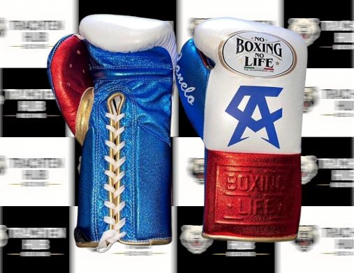Custom Handmade Red White Blue Boxing Gloves - NBNL - 100% Cow Leather • Custom Name Print | Handmade Boxing Gear by TRACHTEN HUB