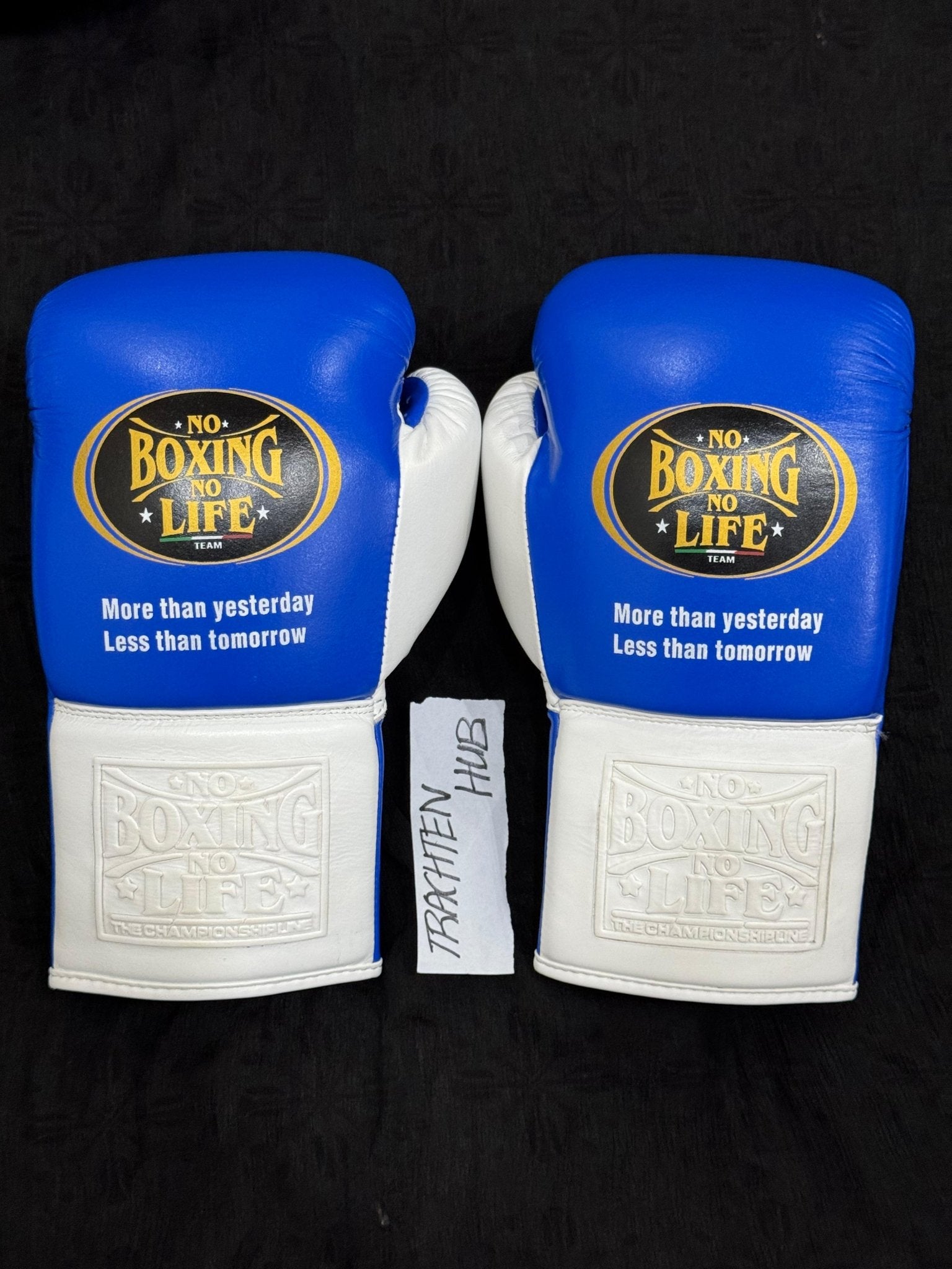Handmade White blue No Boxing No Life gloves for training