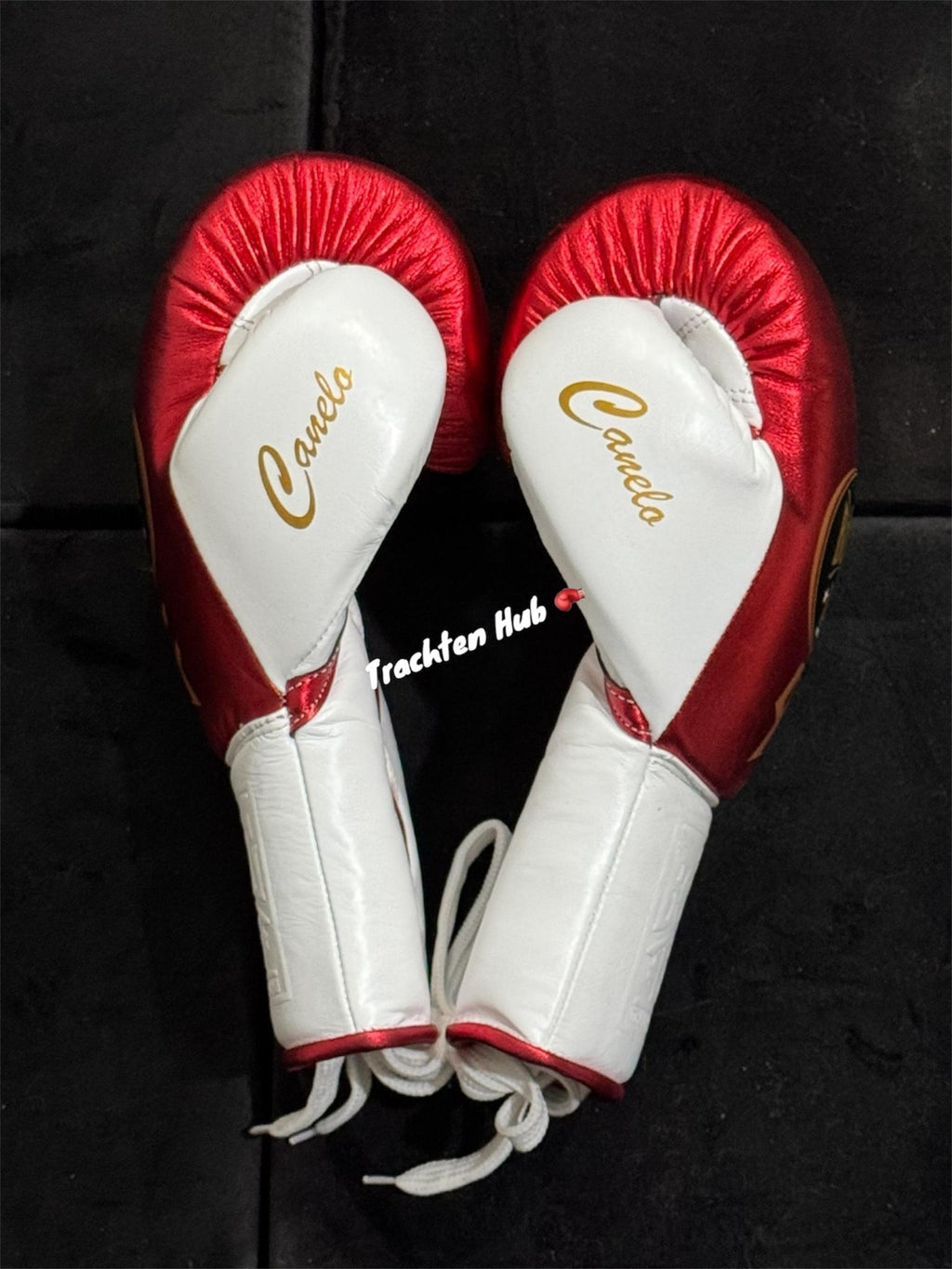 ⿥

No Boxing No Life gloves by Trachten Hub – handmade boxing gear