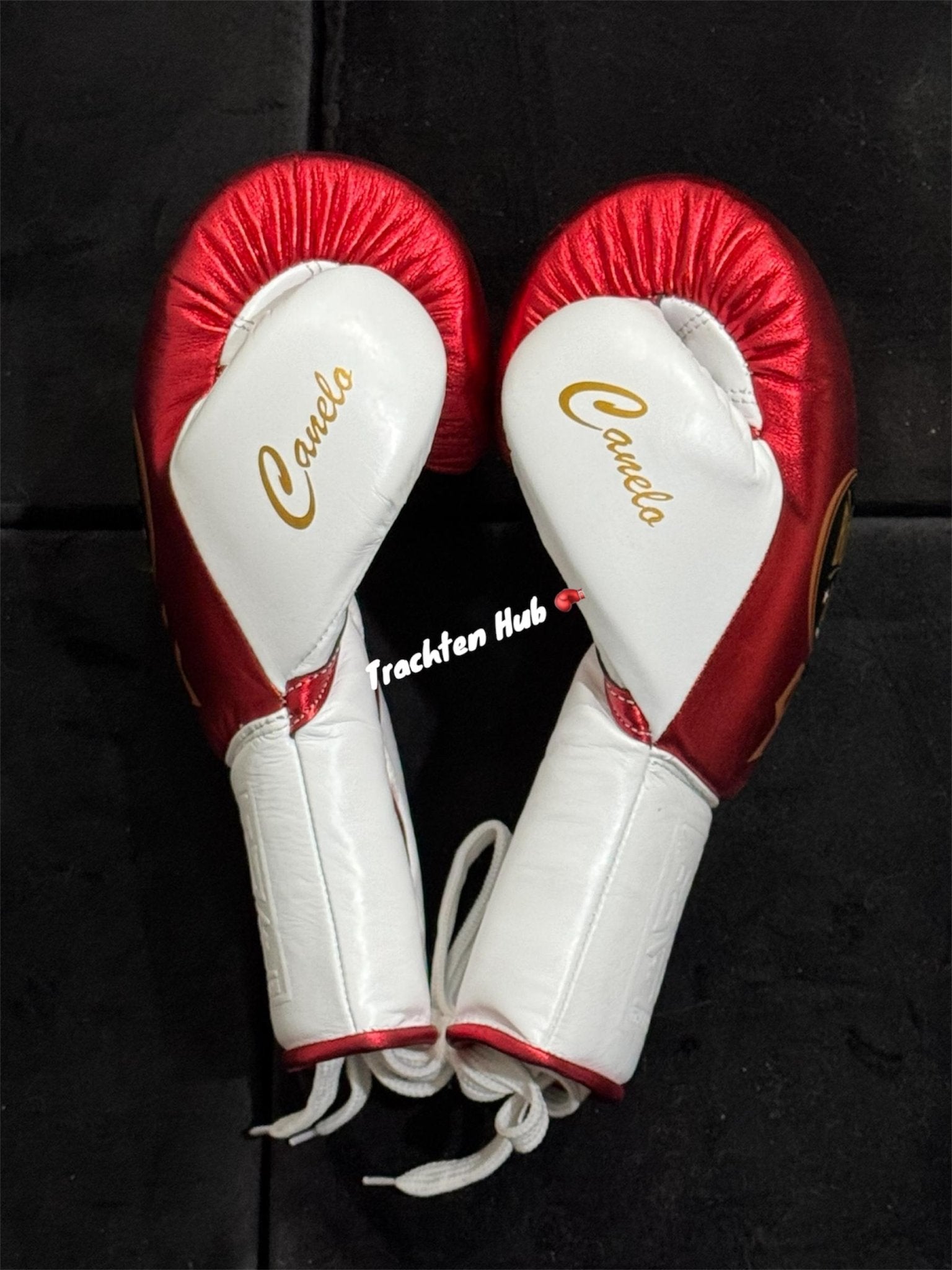 ⿥

No Boxing No Life gloves by Trachten Hub – handmade boxing gear
