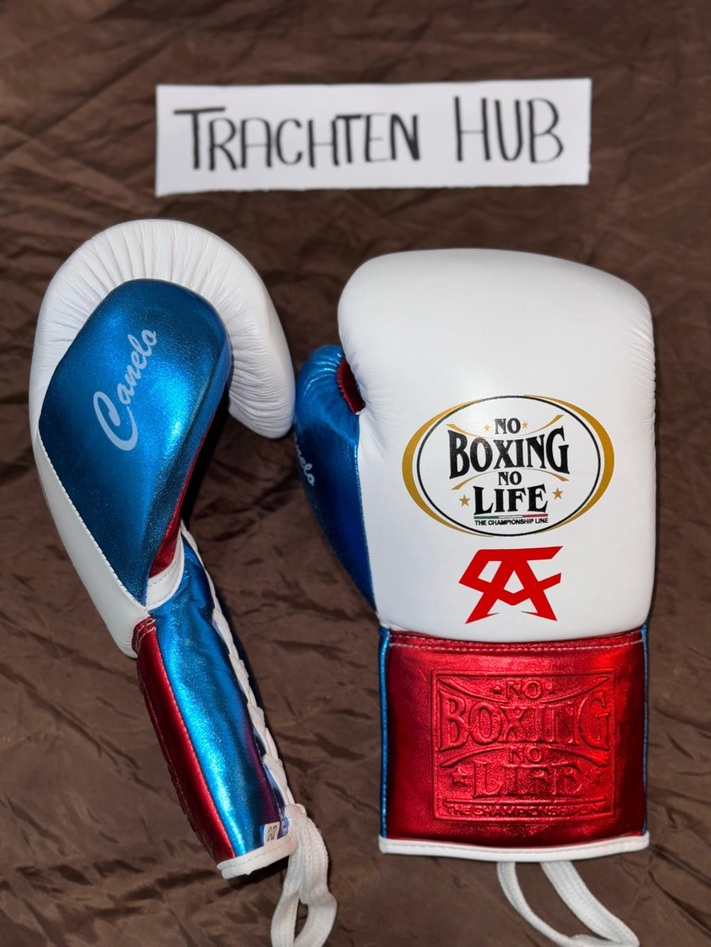 Handmade White blue No Boxing No Life gloves for training
